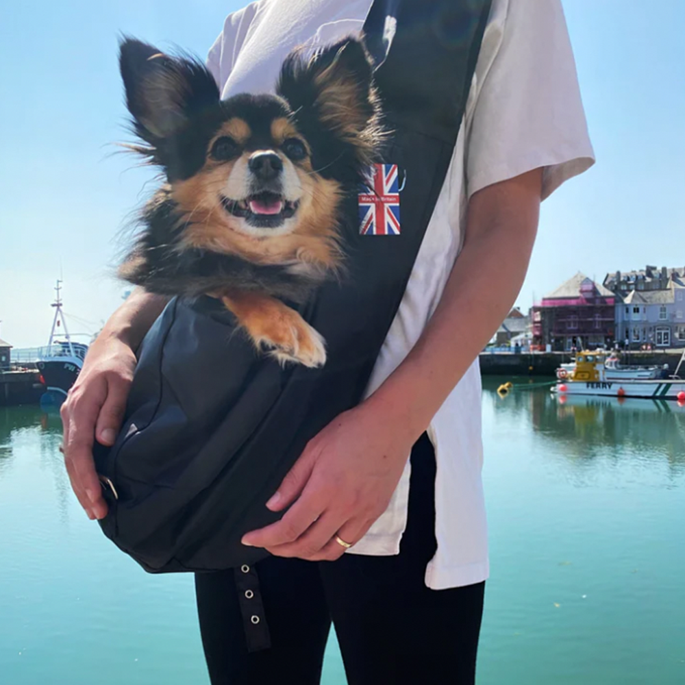 Fluffy dog in a waterproof sling 
