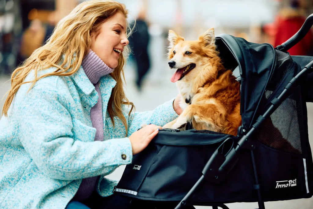 Innopet Dog Strollers, our favourite strolls in Cornwall