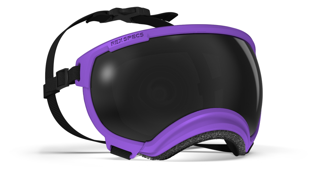 Rex Specs Dog Eye Goggles XSmall / Pike Purple Rex Specs Dog Goggles V2