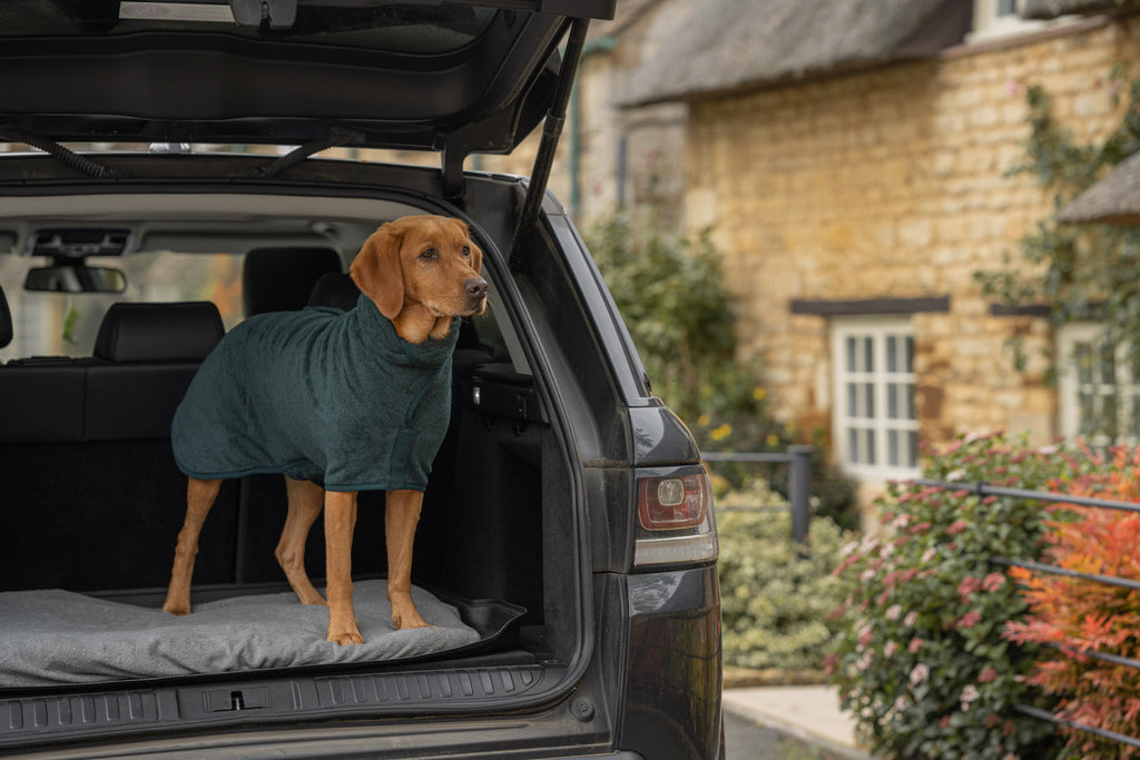 Ruff and Tumble Drying Coat XXXS / Forest Green Dog Drying Coat - Classic Collection