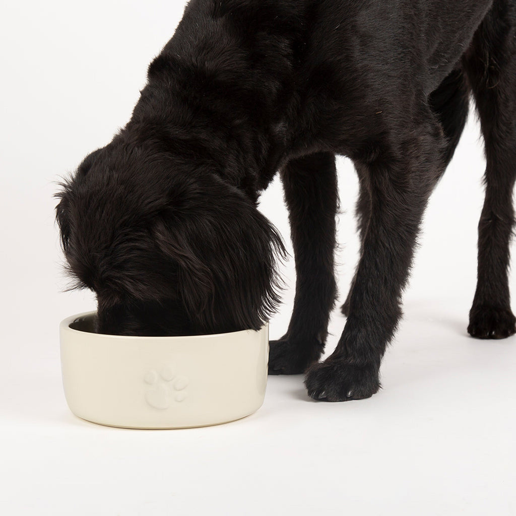 Scruffs Dog Bowl Ceramic Icon Dog Food Bowl