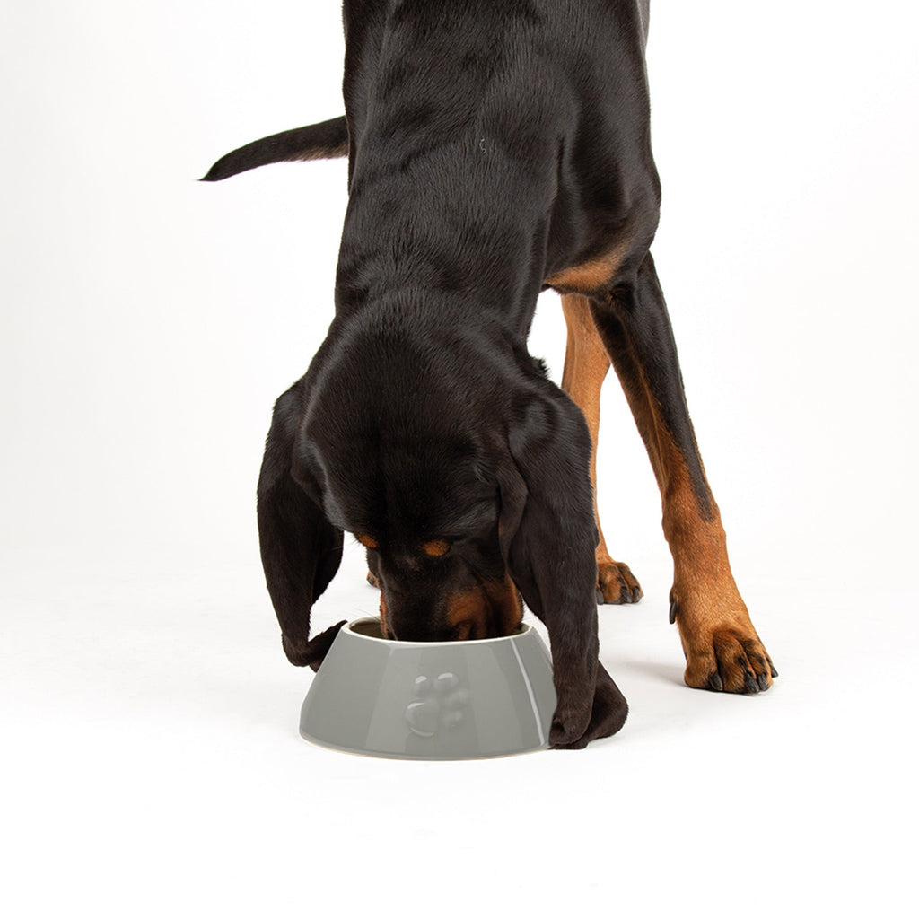 Scruffs Dog Bowl Ceramic Icon Long Eared Dog Food & Water Bowl