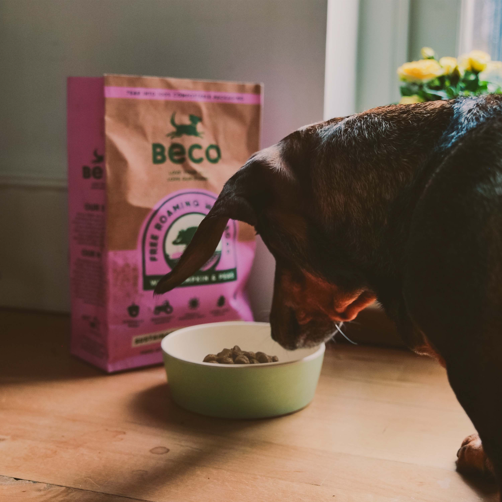 Beco Dry Food Eco Conscious Food for Dogs - Free Roaming Wild Boar