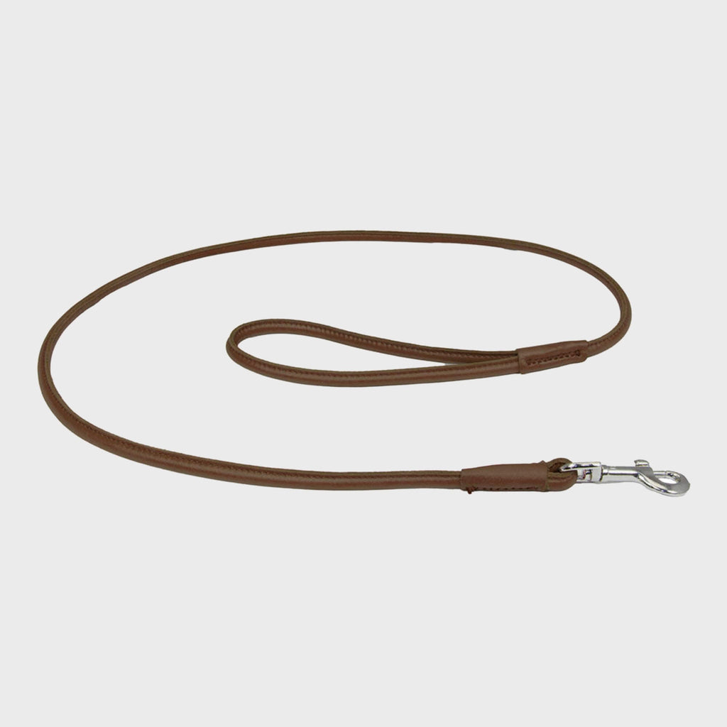 Earthbound Leather Lead Brown Rolled Leather Lead