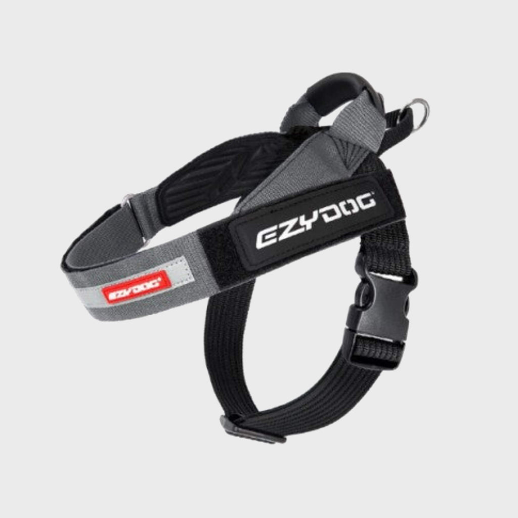 EzyDog Harness XS / GREY Express Harness