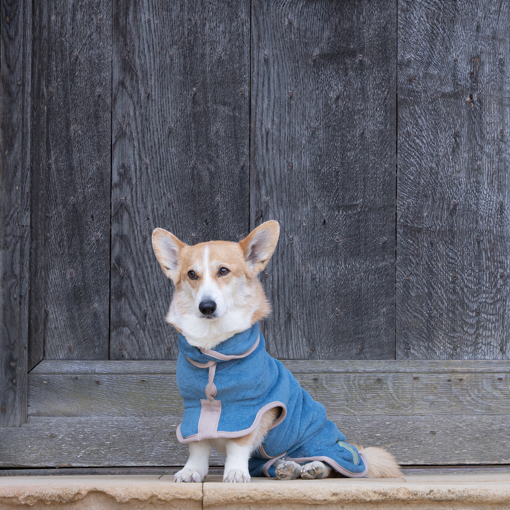 Ruff and Tumble Drying Coat Dog Drying Coat - Classic Collection