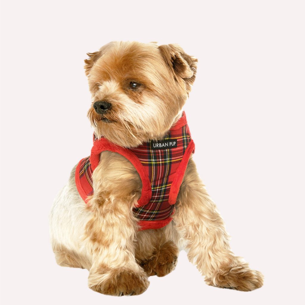 Urban Pup Harness Luxury Fur Lined Harness