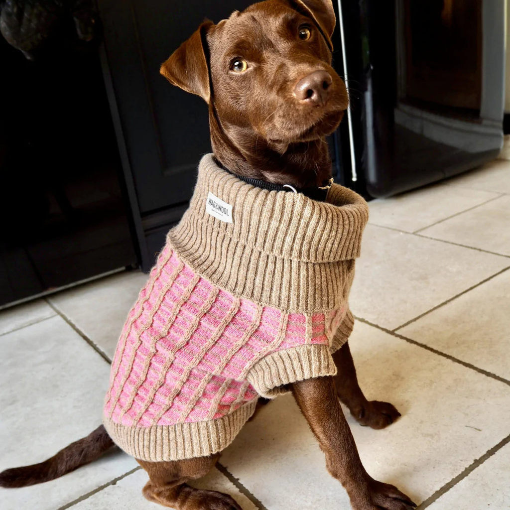 Wag & Wool Apparel & Accessories Large Paddy Dog Jumper Pink