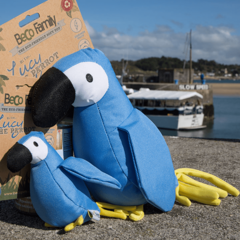 All About Beco - Slickers ◊ Doghouse