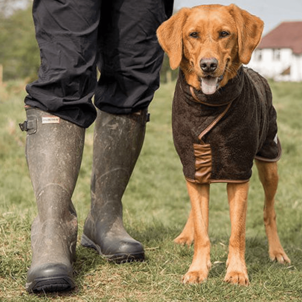 How to be a sustainable dog owner - Slickers ◊ Doghouse