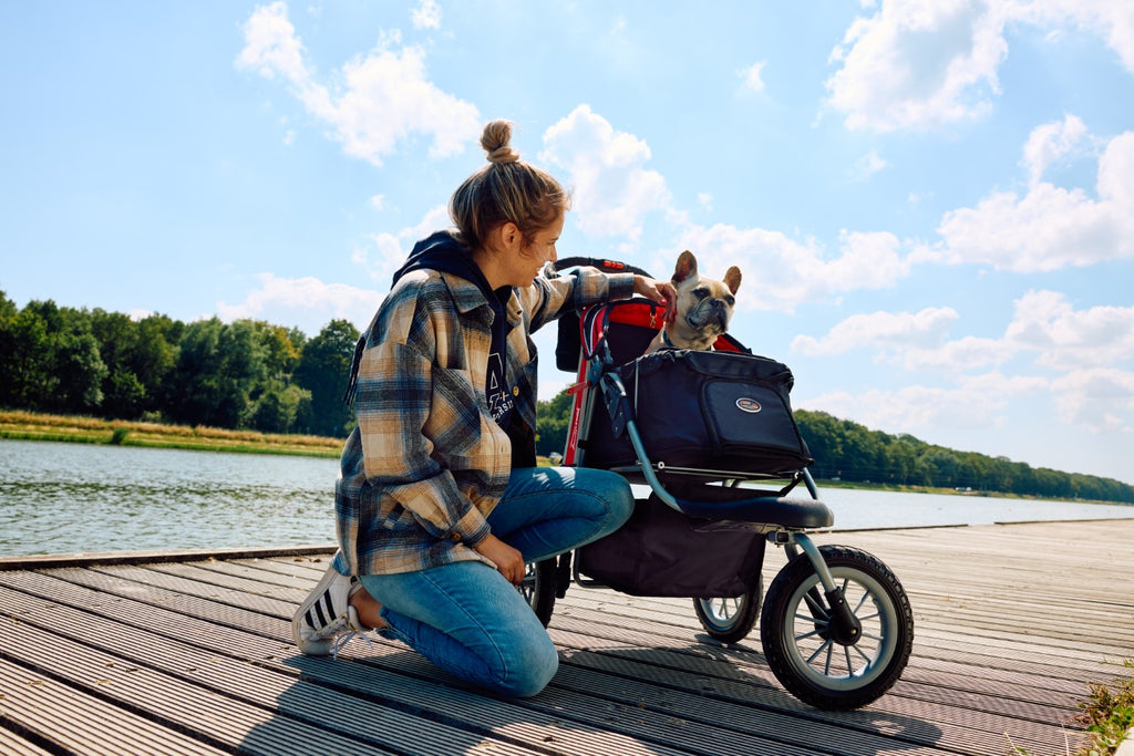 Dog strollers; experience a Cornish summer in style