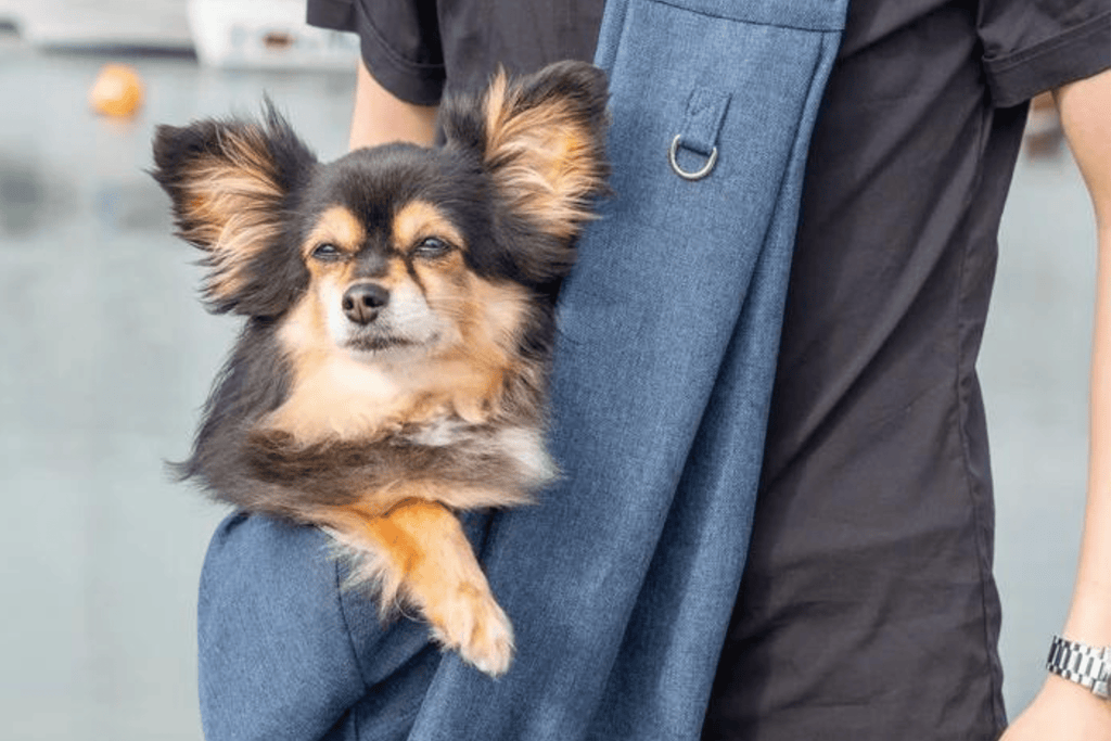 Introducing Slickers Doghouse Dog Slings - Slickers ◊ Doghouse