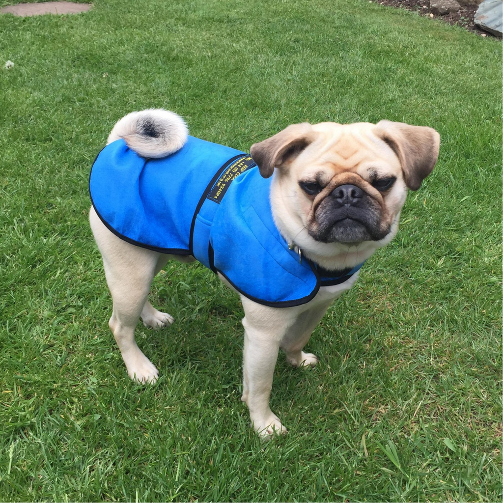 Learn about our KeepCool Dog Coats