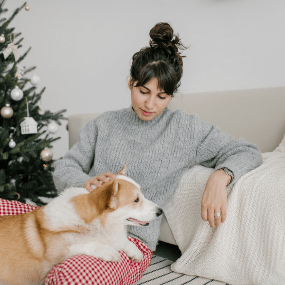 Keep your dog safe, happy and healthy this Christmas - Slickers ◊ Doghouse