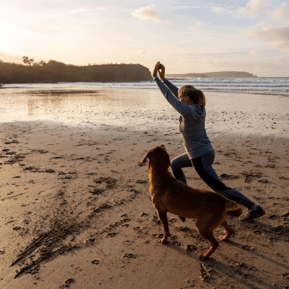 Make 2020 the Year of the Dog - Slickers ◊ Doghouse