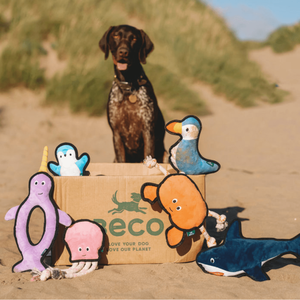 Slickers loves...Beco - Slickers ◊ Doghouse