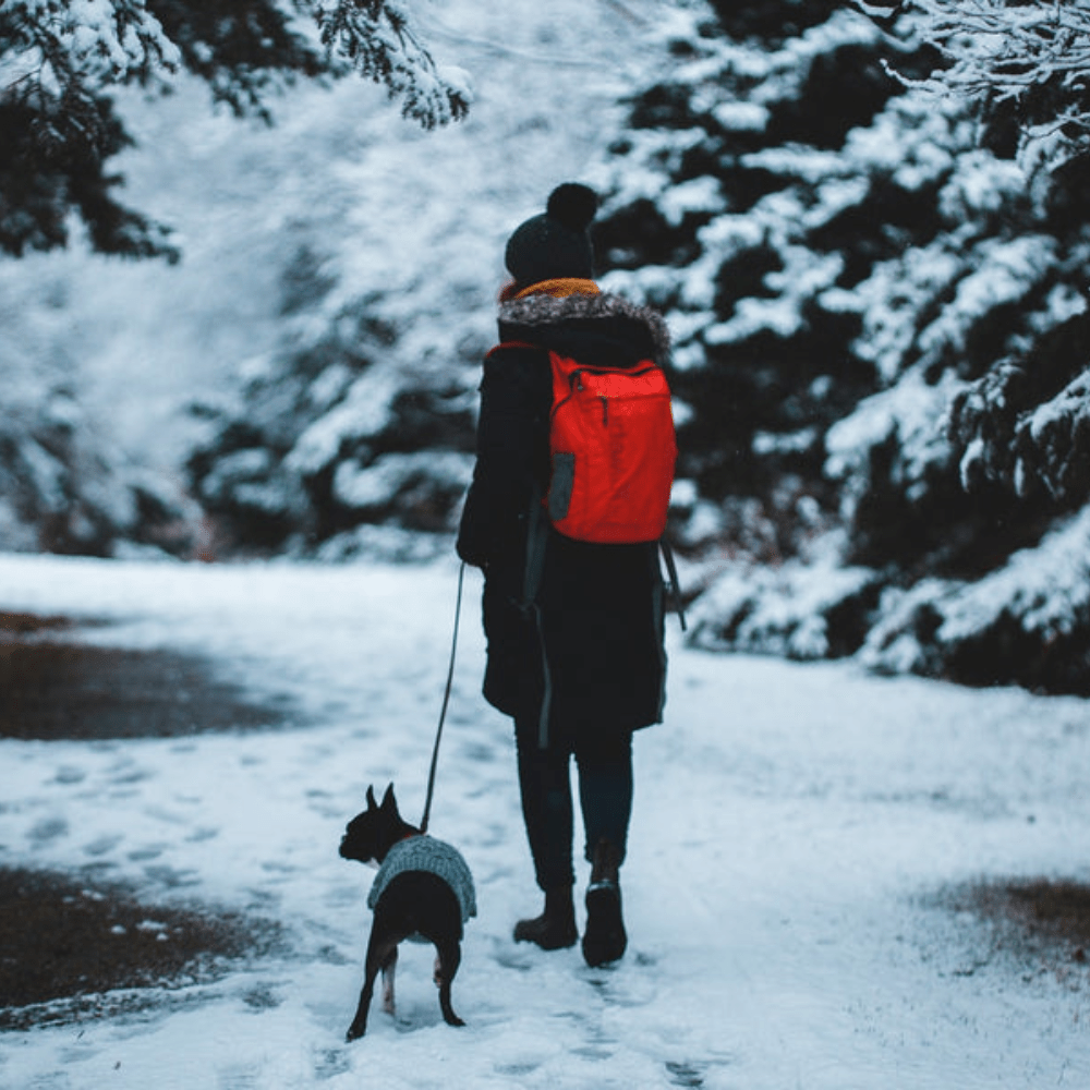 Slickers loves....wintry walk essentials - Slickers ◊ Doghouse