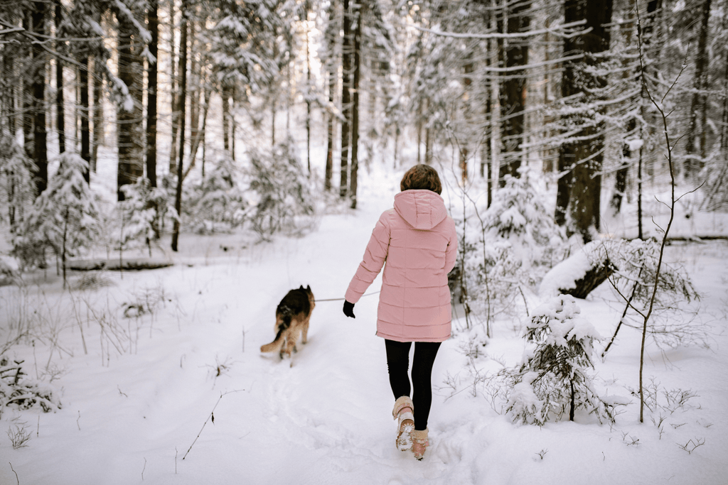 Winter Walkies: How to Keep Your Dog Warm and Safe in Cold Weather - Slickers ◊ Doghouse