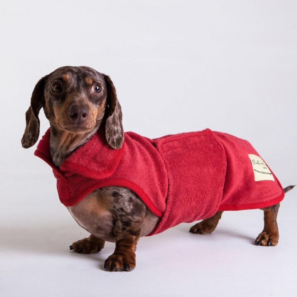 Dachshund clothes