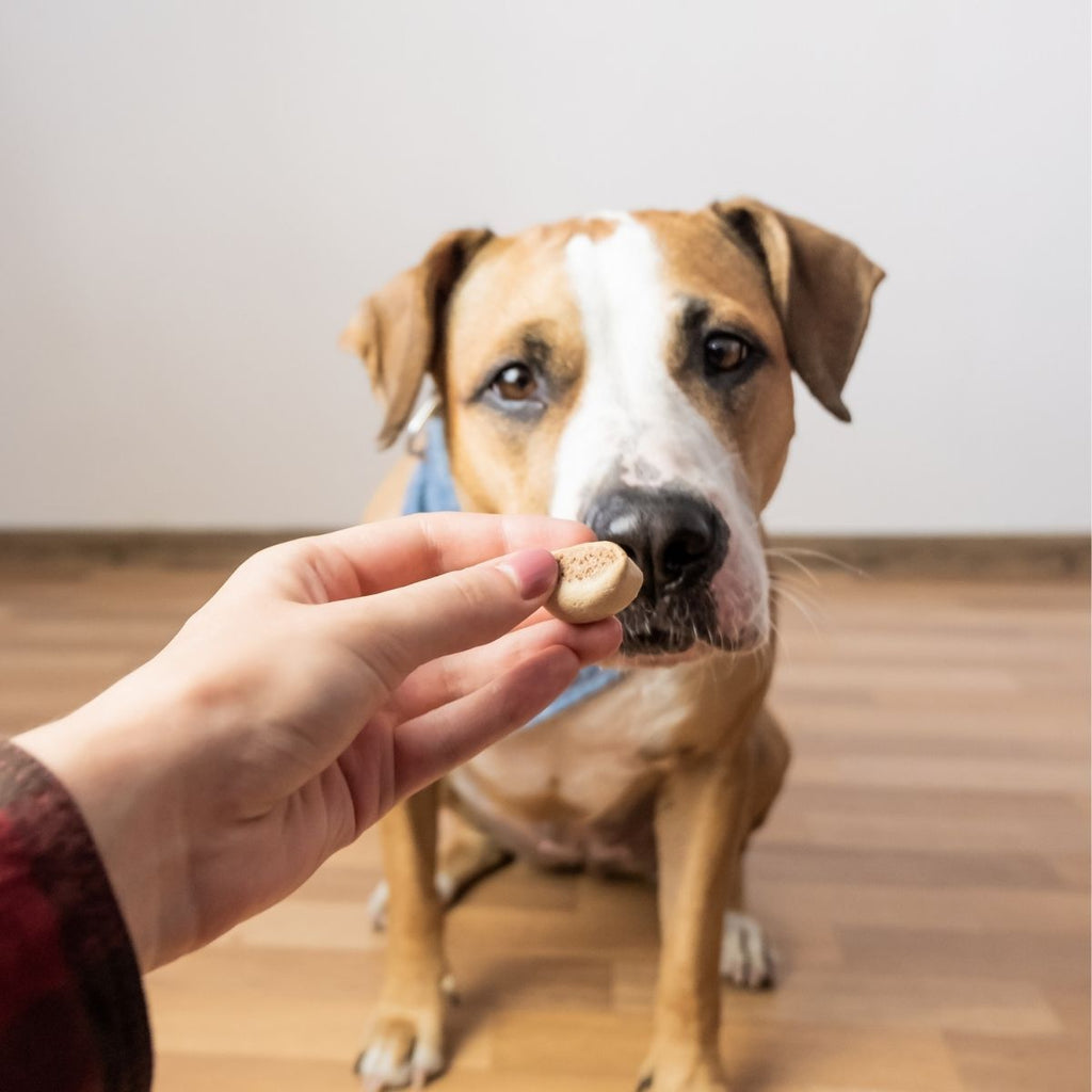 Dog treats