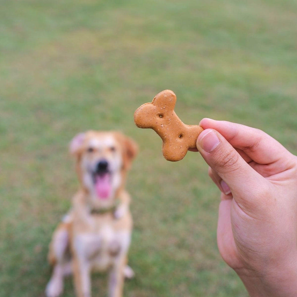 dog treat bags