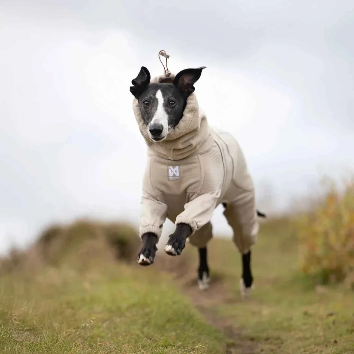 Non Stop Dogwear UK | Harnesses, Coats & Gear | Slickers Doghouse ...