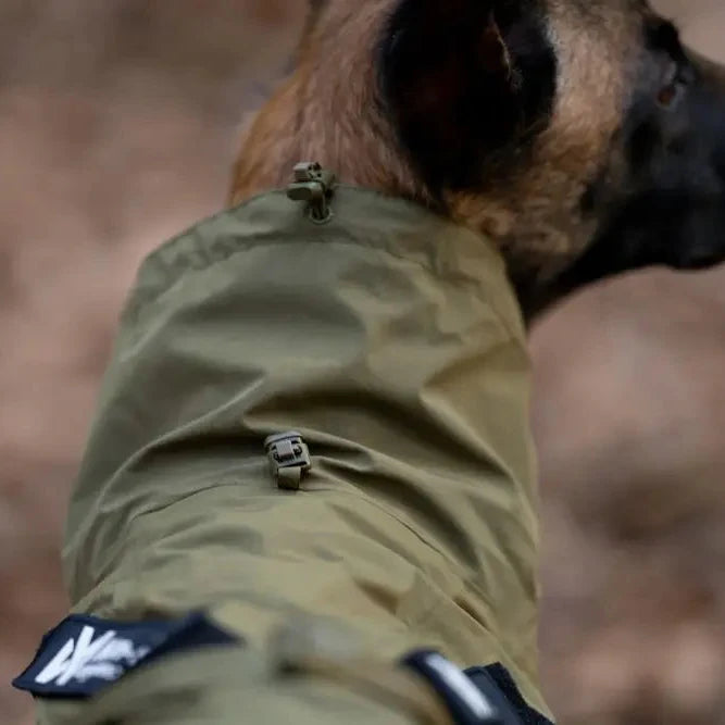 Dog wearing a green jacket with a blurred natural background