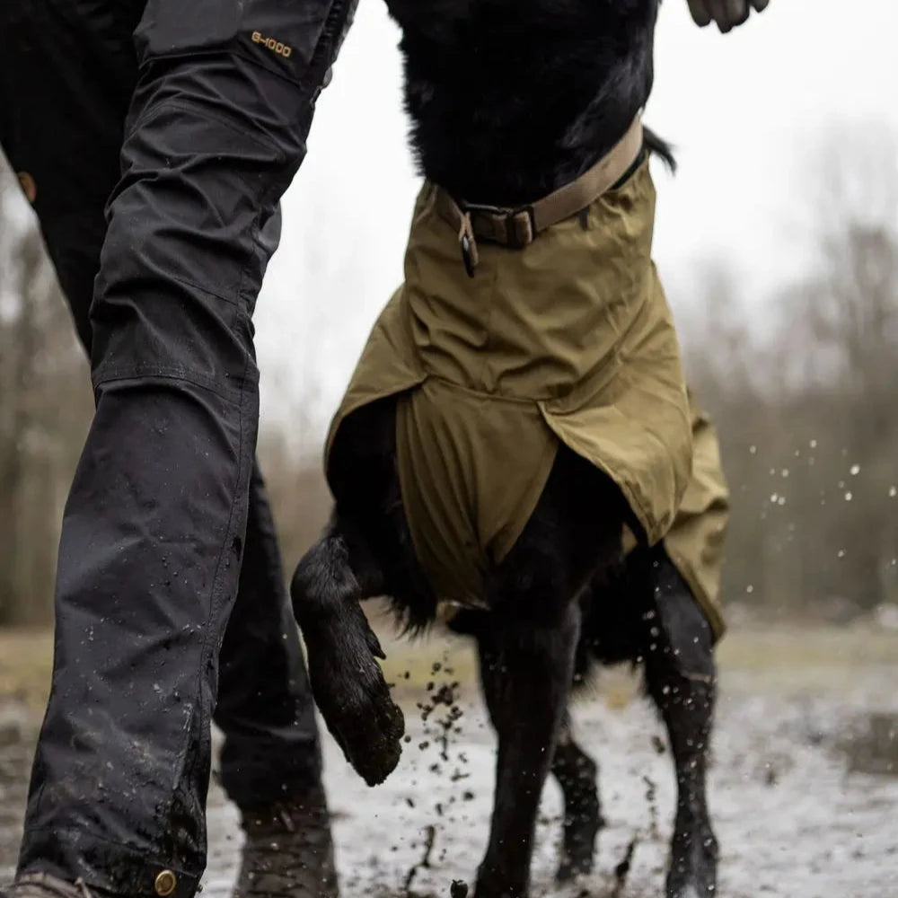 Person wearing a brown leather belt with a horse running in a muddy field.