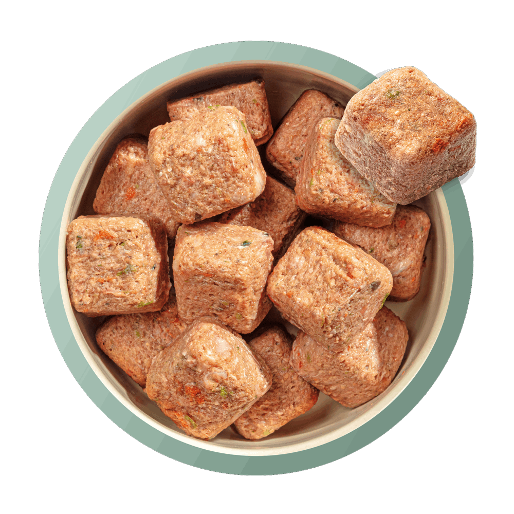 80/20 Duck with Superfoods 1Kg For Adult Dogs - Slickers ◊ Doghouse