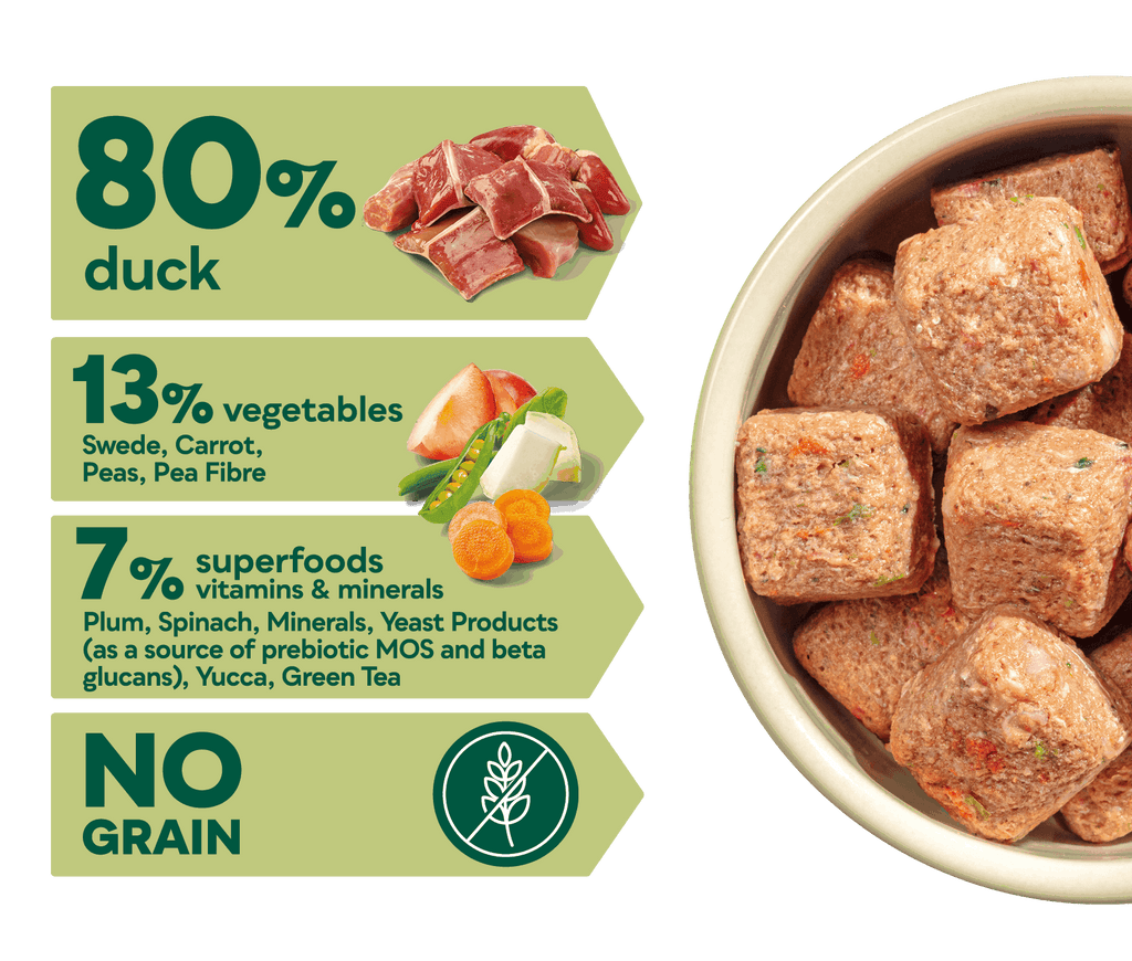 80/20 Duck with Superfoods 1Kg For Adult Dogs - Slickers ◊ Doghouse