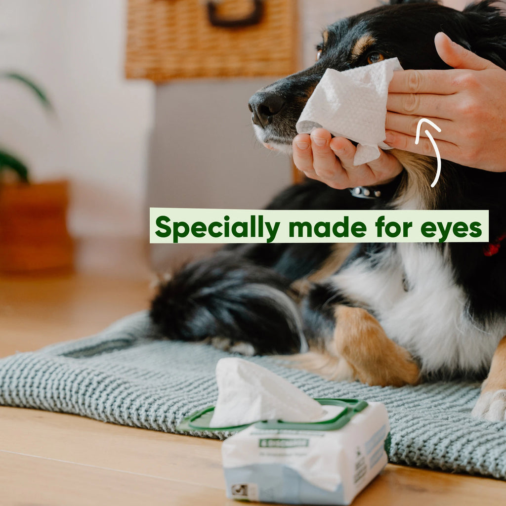 Dog Eye Cleaning Wipes - Slickers ◊ Doghouse