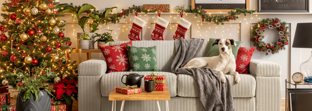 Dog lying on a couch in a festively decorated living room with Christmas tree and stockings.
