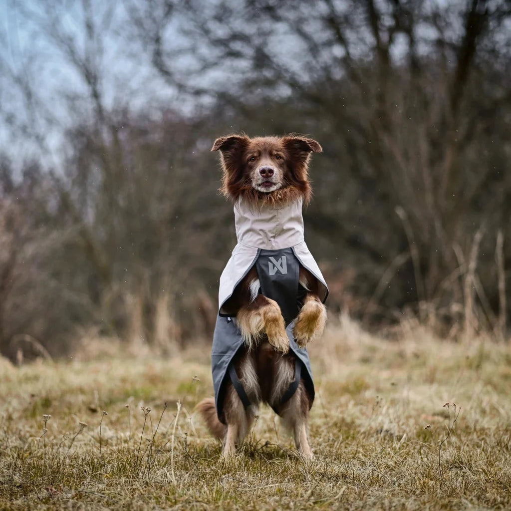 Fjord raincoat 2.0 - Slickers ◊ Doghouse