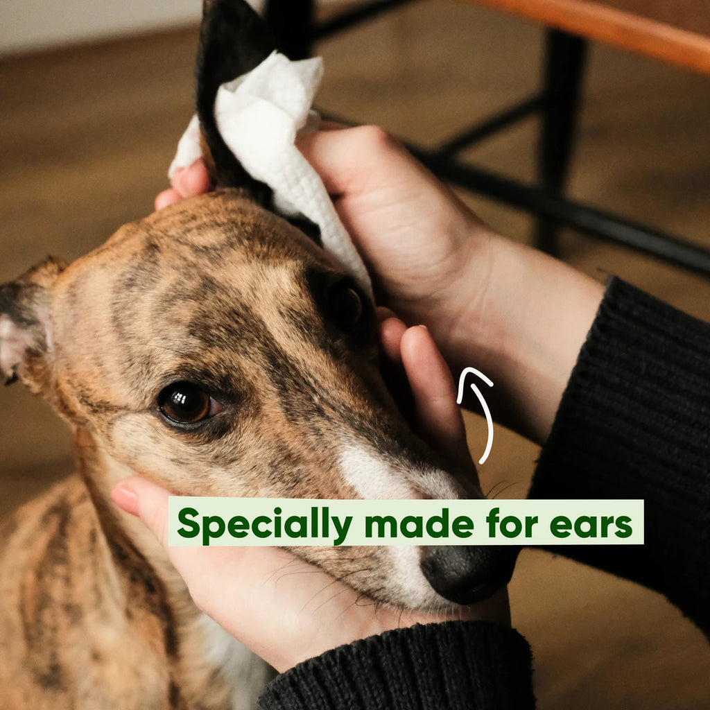 Dog Ear Cleaning Wipes - Slickers ◊ Doghouse