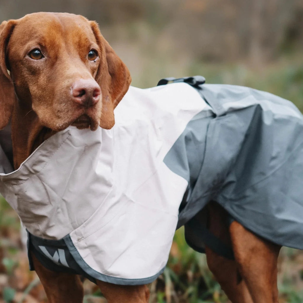 Fjord raincoat 2.0 - Slickers ◊ Doghouse