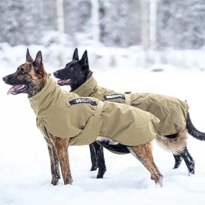 Glacier Dog Jacket WD (Working Dog) - Slickers ◊ Doghouse