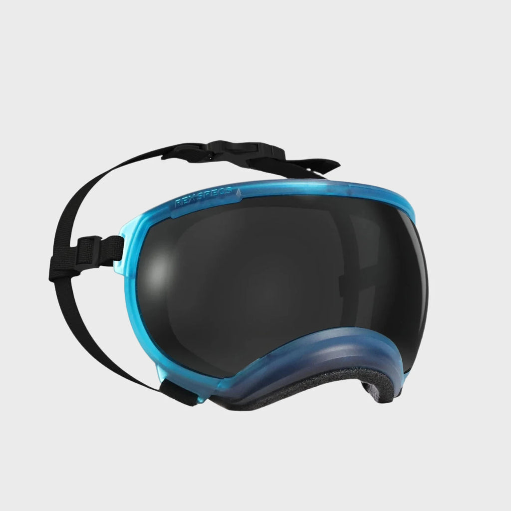 Rex Specs Dog Goggles V2 - Glacier Blue - Slickers ◊ Doghouse
