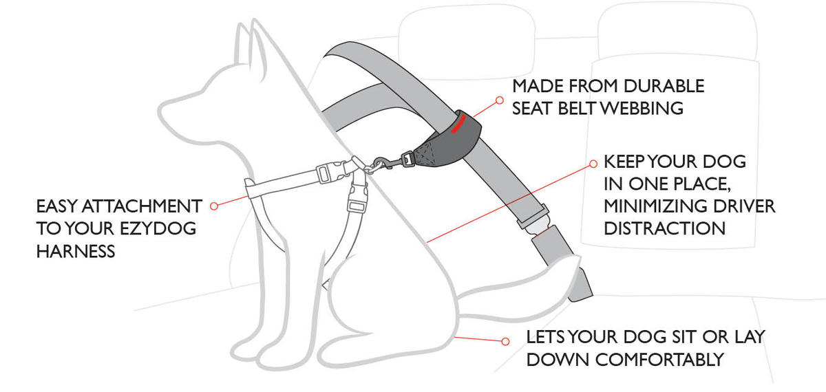 Dog Seat Belt Restraint Loop style measuring guide