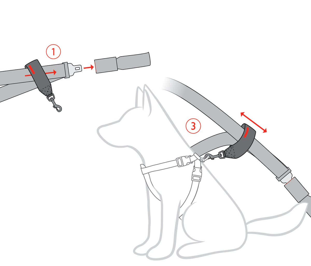 Dog Seat Belt Restraint Loop style measuring guide