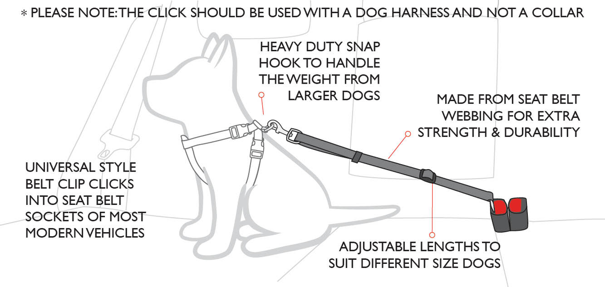 'Click' Adjustable Car Dog Restraint measuring guide