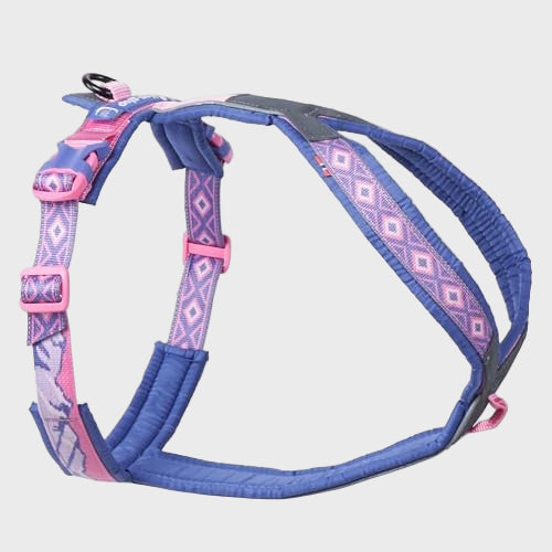Blue and pink patterned dog harness on a white background
