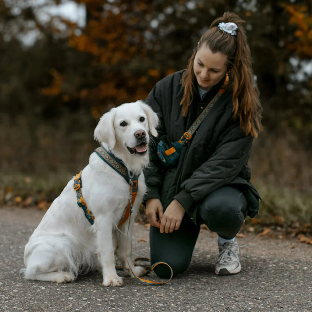 Woman and white dog sitting on a road with trees in the background