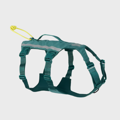 Green dog harness with reflective stripes on a white background