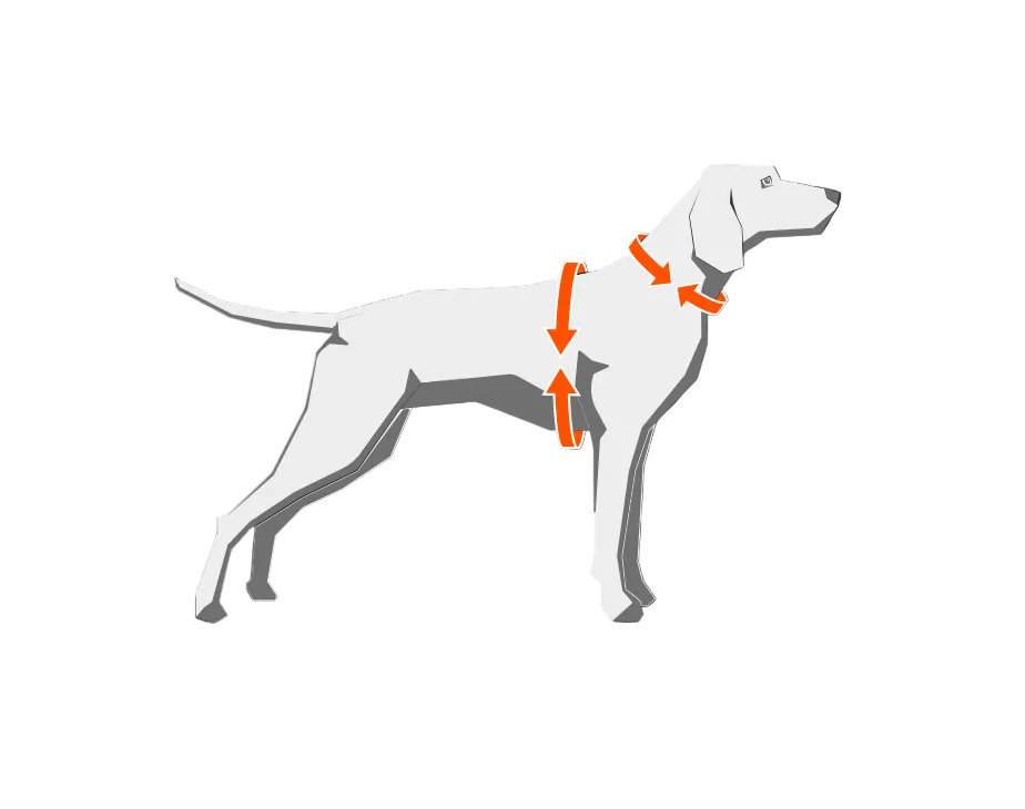Thermax Thermogenic Vest measuring guide