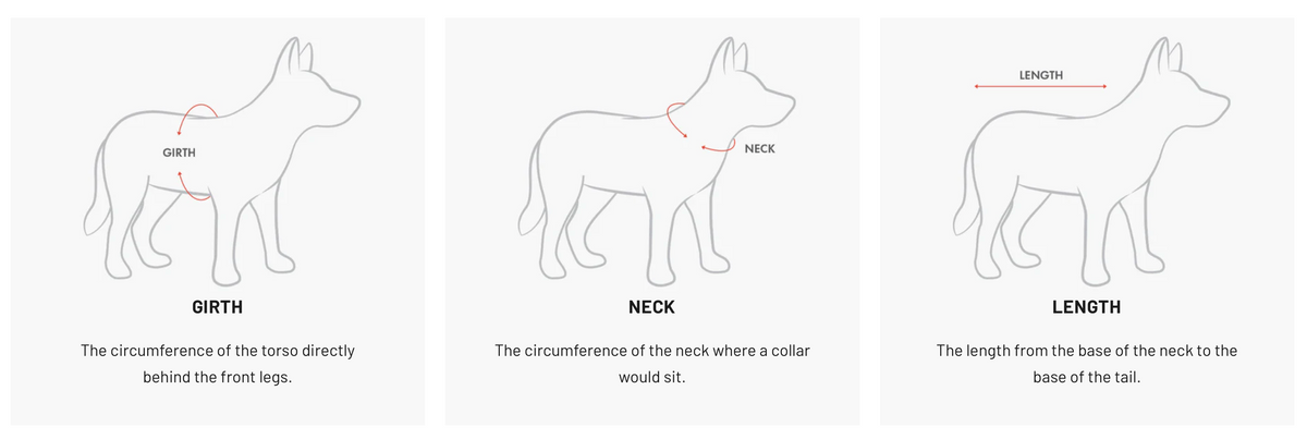 Chest Plate Dog Harness measuring guide