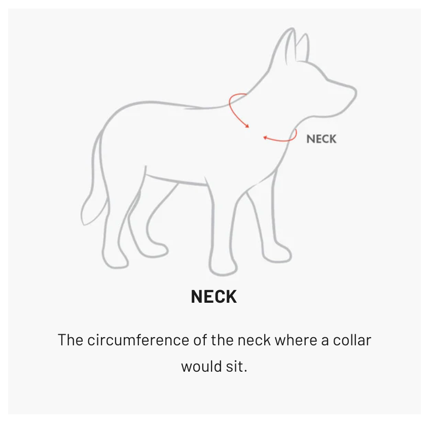 Neo Classic Dog Collar Denim measuring guide