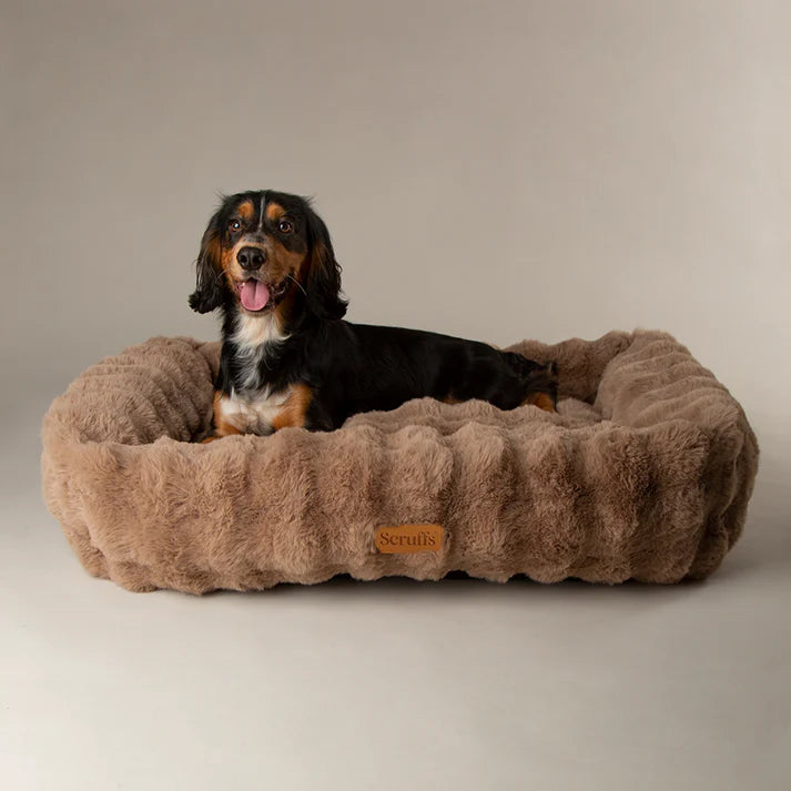 Dog lying on a fluffy brown pet bed with a beige background