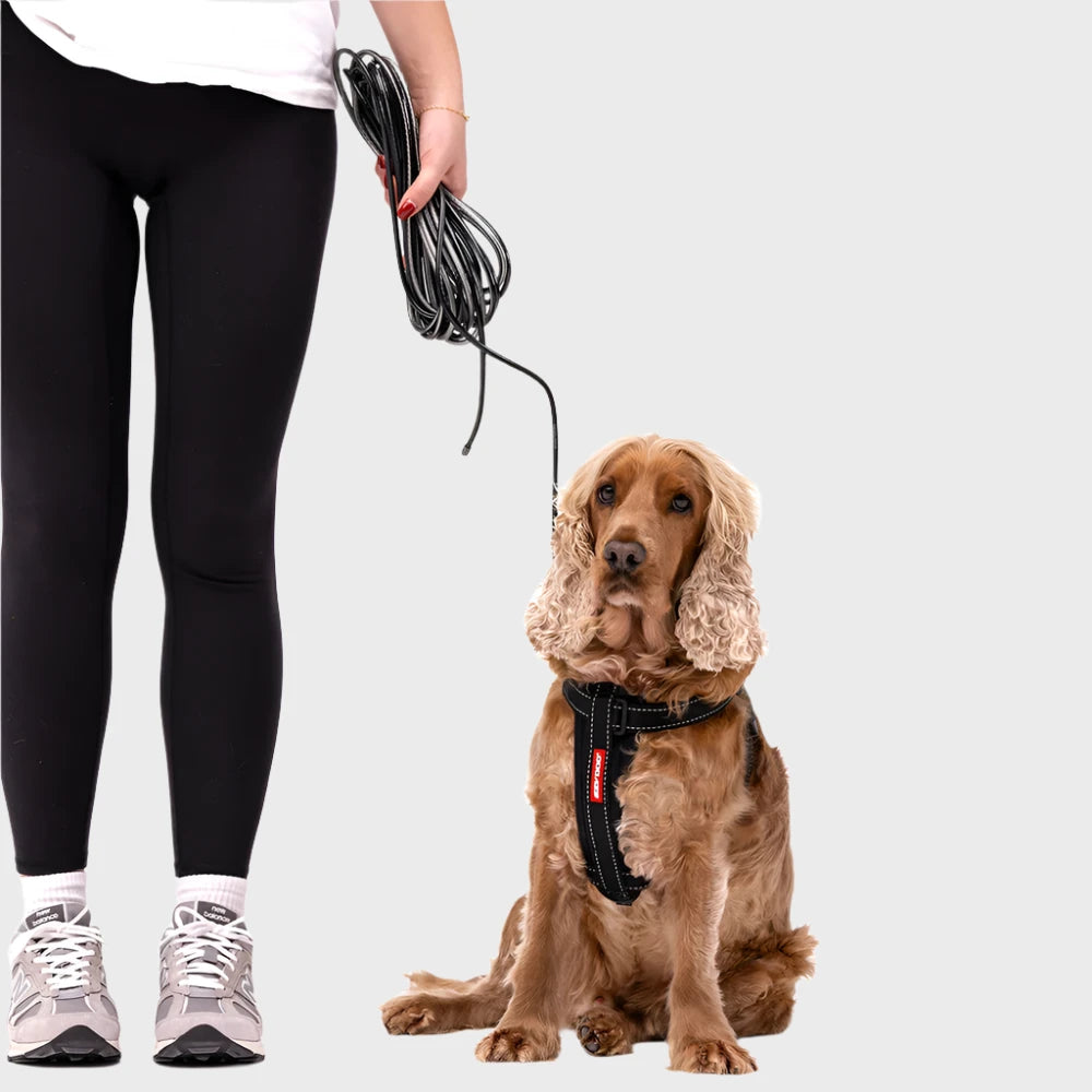 Dog wearing a harness with a person holding a leash on a white background