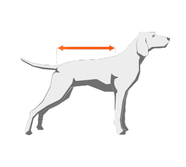 Glacier Jacket 2.0, Three Colours measuring guide