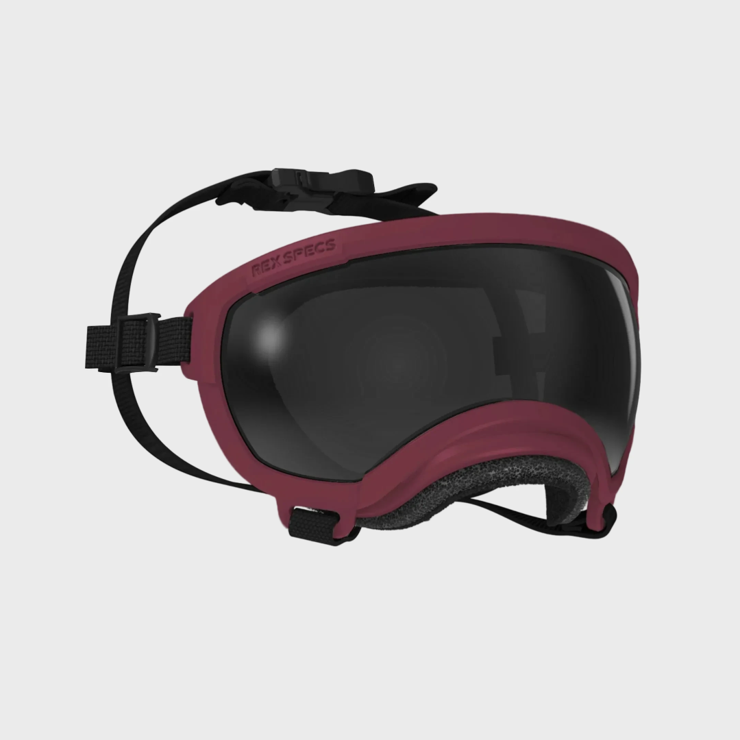 Rex Specs V2 Dog Goggles Burgundy | UK – Slickers ◊ Doghouse